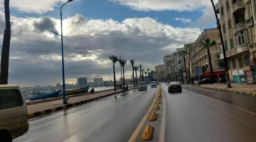 تحذير لمرضى الحساسية.. نشاط للرياح والأتربة مستمر حتى يوم الأربعاء المقبل